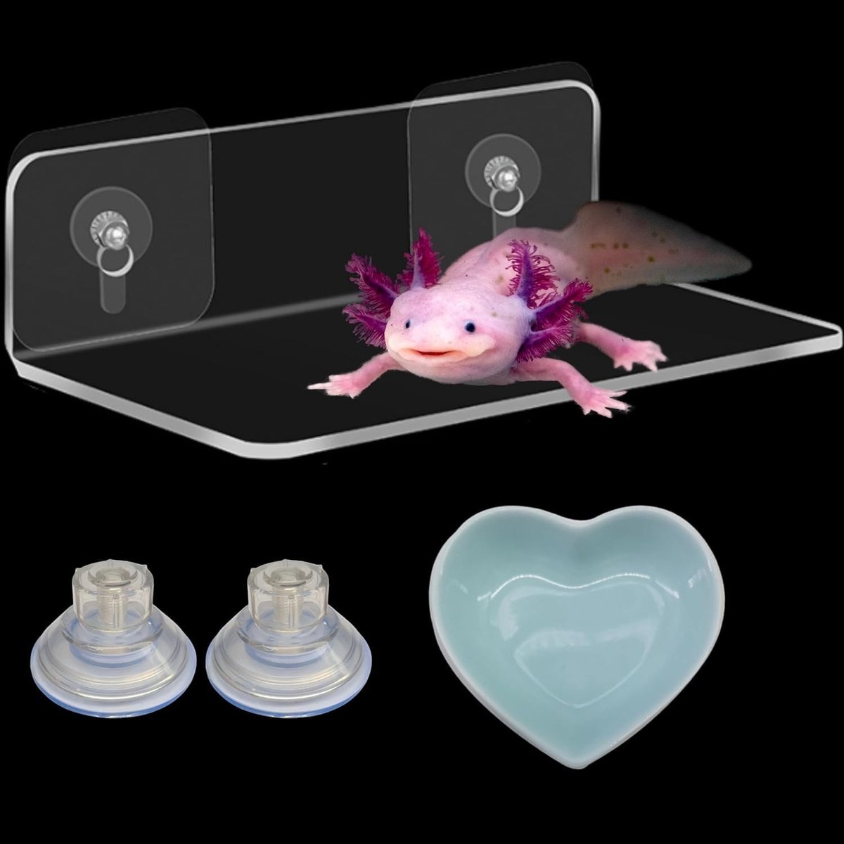 Omgoods - Axolotl Hammock voor Aquarium met Keramische Bekleding