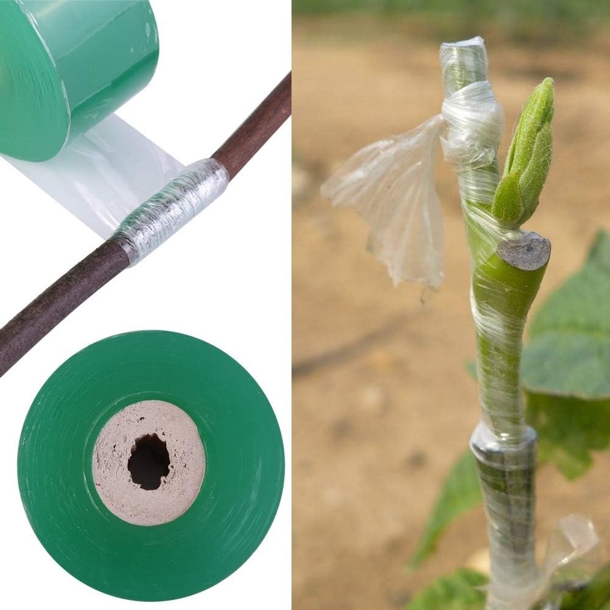 Tuinsnoei Tape Groen, Zelfklevende Veredelingsband voor Planten, Bloemen en Fruitbomen, Stretchy en Duurzaam, 2.5 cm x 100 m