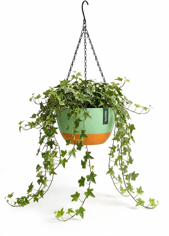 Hangende plantenbak van Grovita, lichtgroen met een oranje rand onderaan, met klimop die naar beneden hangt.