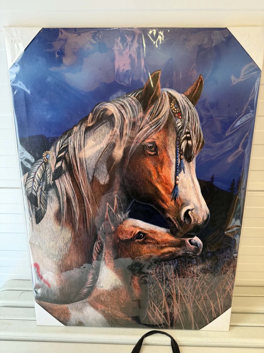 Canvas 50x70cm - Apache - Lisa Parker