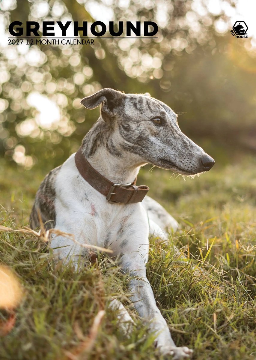 Greyhound A3 Kalender 2027