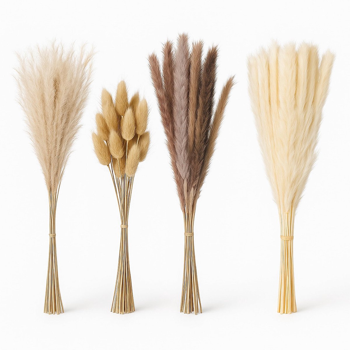 Elzusha - Set van 144 Gedroogde Pampaspluimen voor Boho Decoratie