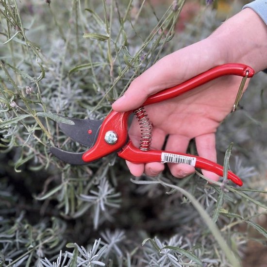 Talen Tools - Snoeischaar - Rood van Merkloos	 — afbeelding 5