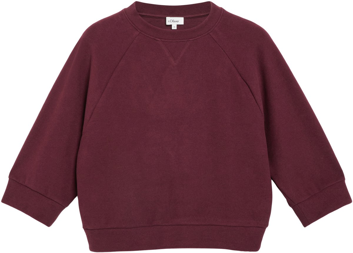s.Oliver Sweatshirt