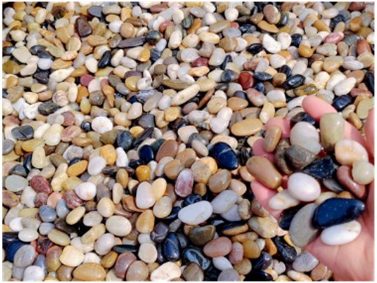 Elzusha - 2500 g Decoratieve Kiezelstenen voor Tuin en Aquarium