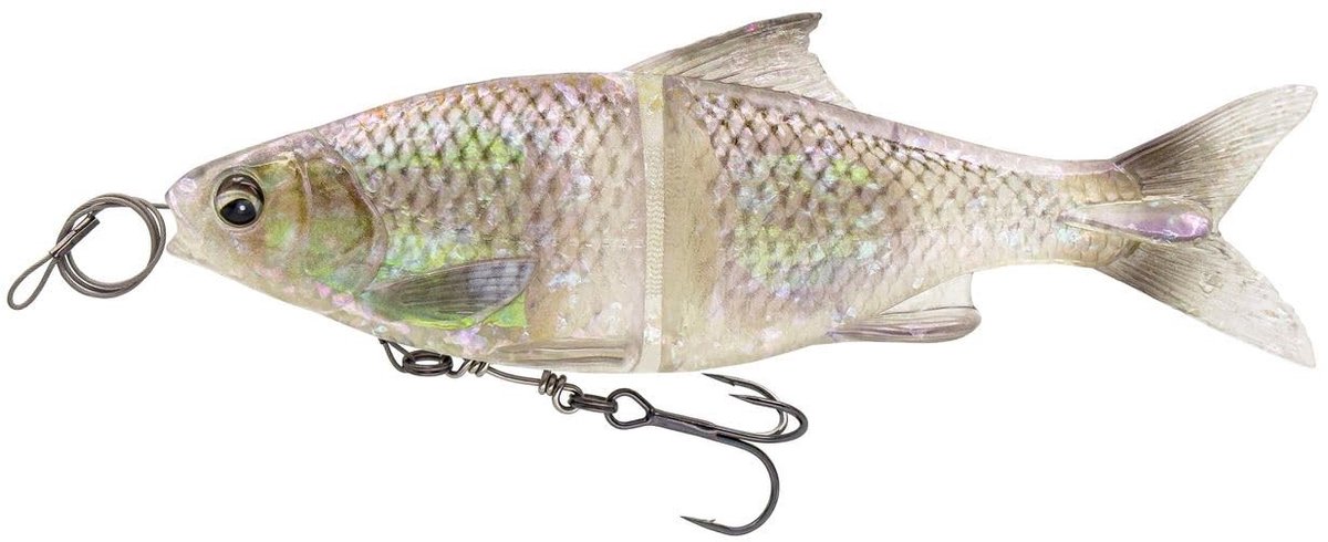 Solidchoice - Swimbait 3D Glide Roach 17 cm Ghost Roach