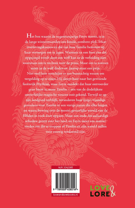 De achterkant van het boek 'Hof van doorns en rozen' met tekst over het verhaal en een illustratie van een vogelachtig wezen.