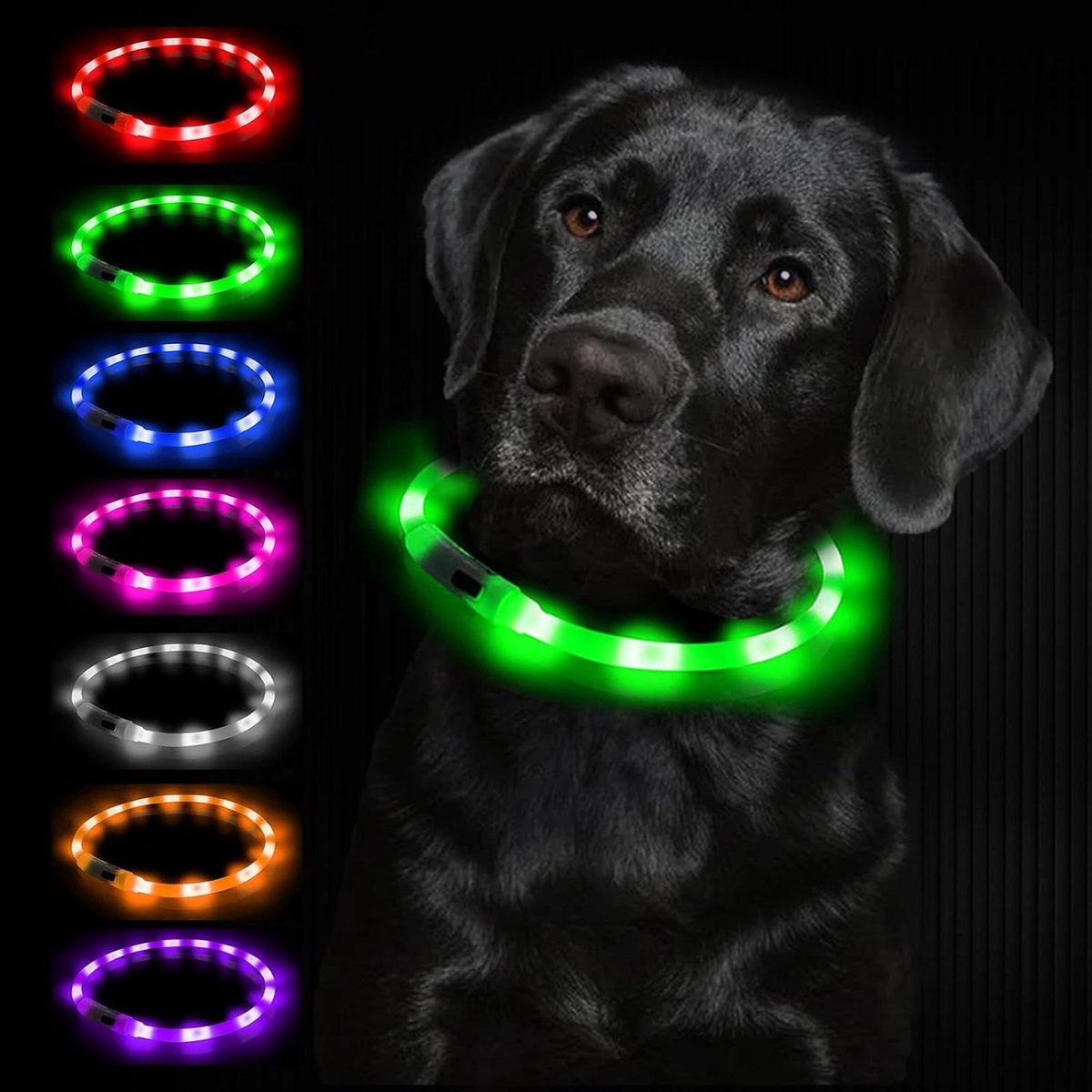 Lichtgevende Hondenhalsband - LED Halsband - Veiligheid 's Avonds - USB Oplaadbaar - Verstelbaar - Groen