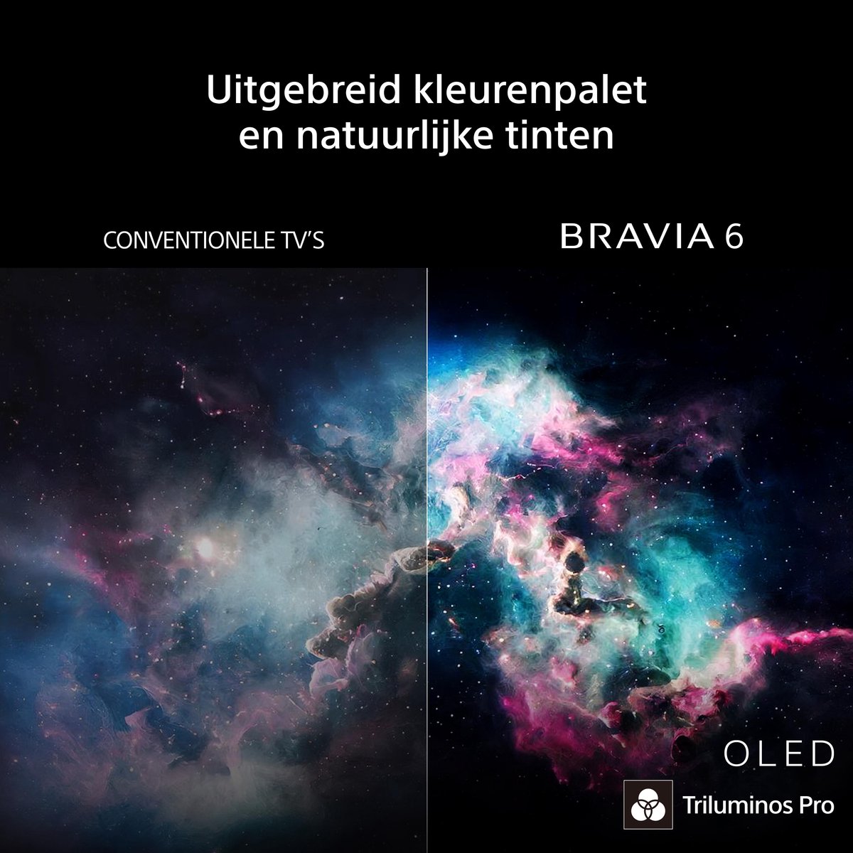 Sony Bravia 6 - 48 inch - 4K OLED - 2026 - Smart TV thumbnail 6