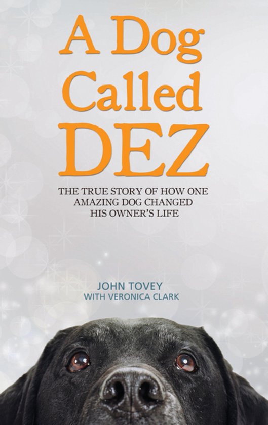 Boekomslag met de titel 'A Dog Called DEZ'. Een zwarte labrador kijkt omhoog.
