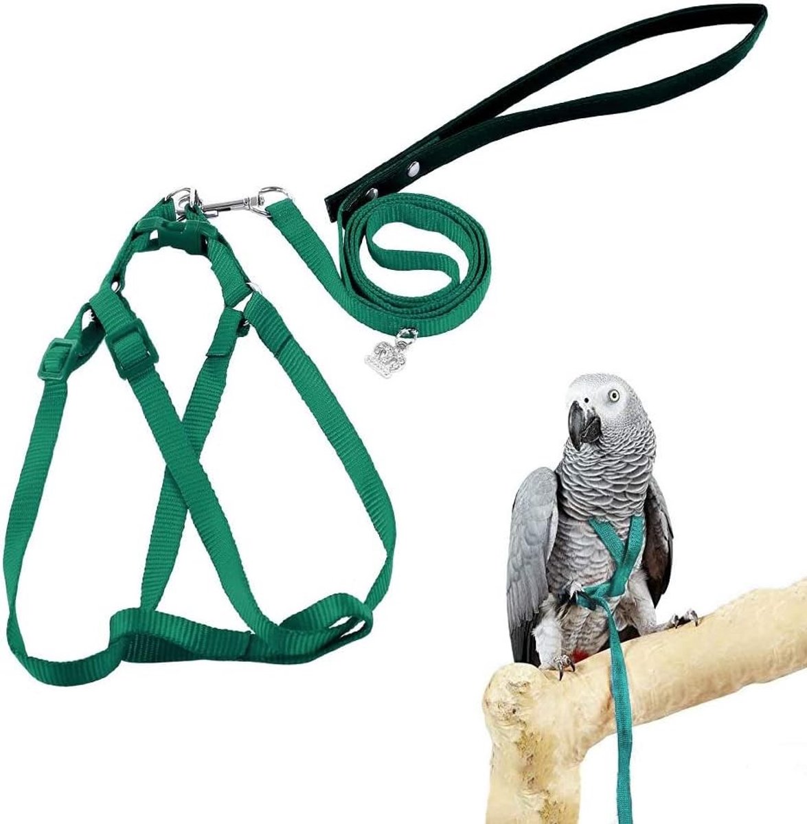 Vogelharnas voor huisdieren - Nylon - Klein - Verstelbaar Harnas en Leiband voor Kleine Papegaaien - Outdoor Training en Wandelen