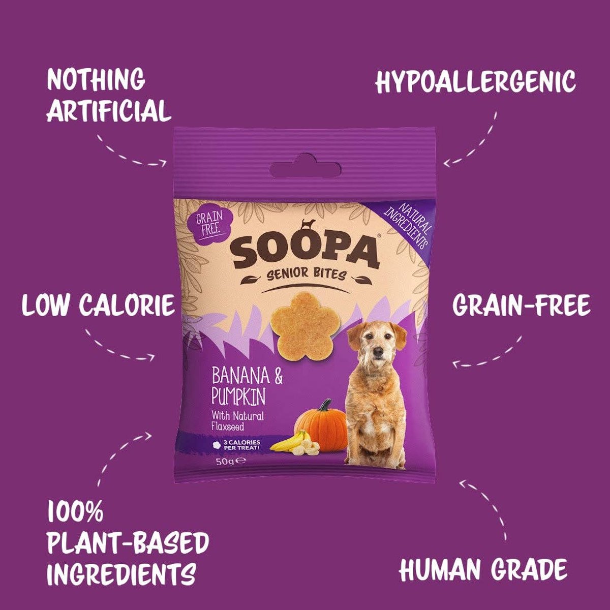 Soopa Healthy Bites Senior - Vegan Hondensnacks - Banaan, Pompoen & Lijnzaad - Zachte Snacks voor Oudere Honden