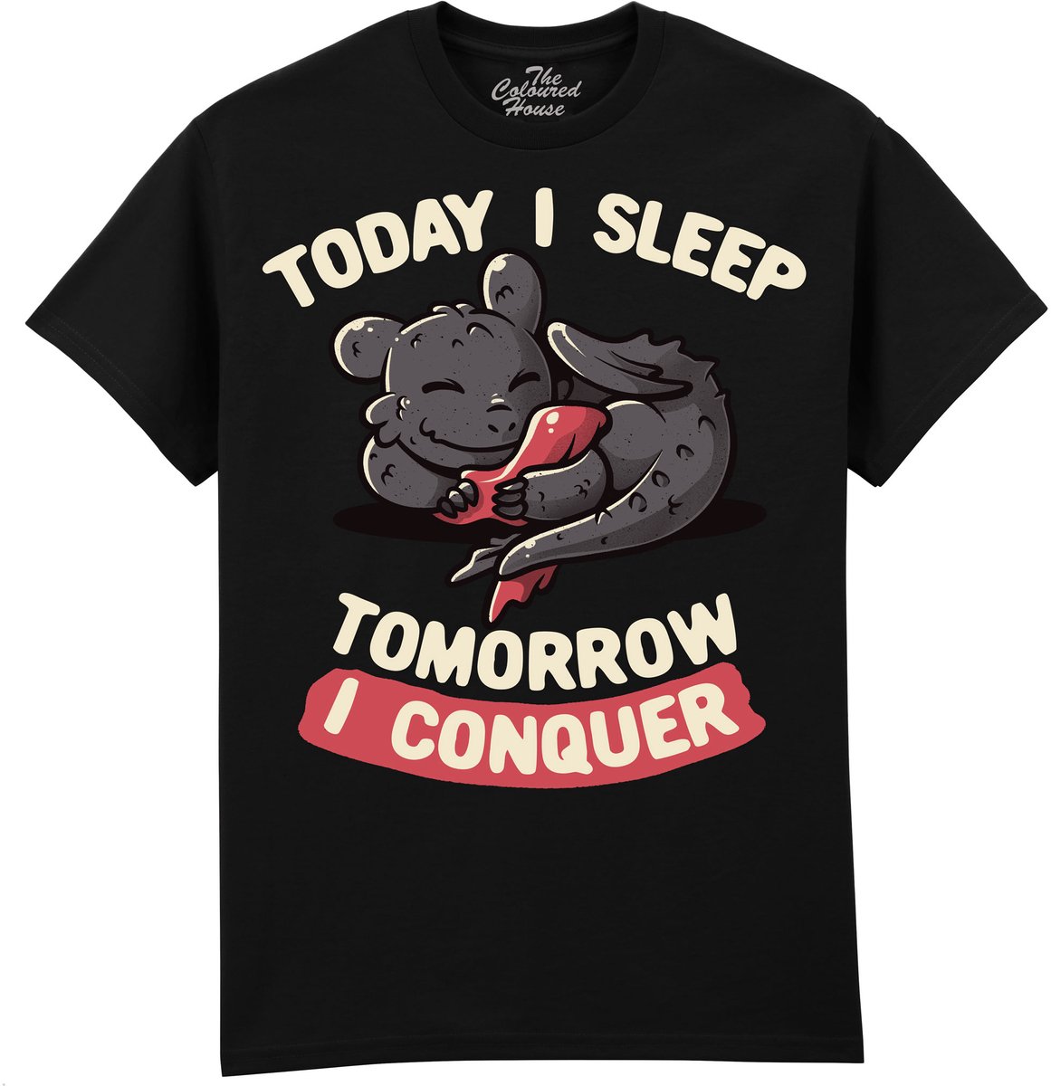 Draak Today I Sleep, Tomorrow I ConquerThe Coloured House T-shirt 4XL
