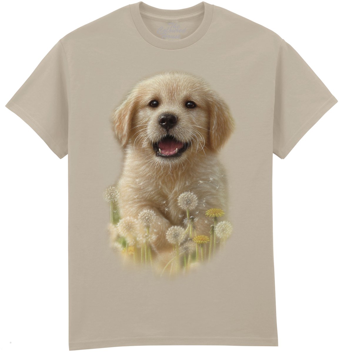Dandelions - Golden Retriever Pup The Coloured House T-shirt XXL