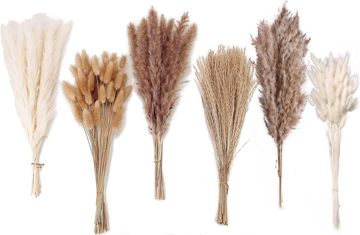 Droog pampasgrasdecor, 120 stuks pampasgras met konijnenstaarten gedroogde bloemen, rietgrasboeket voor bruiloft, boho-bloemen, thuis tafeldecoratie, rustiek boerderijfeest 125
