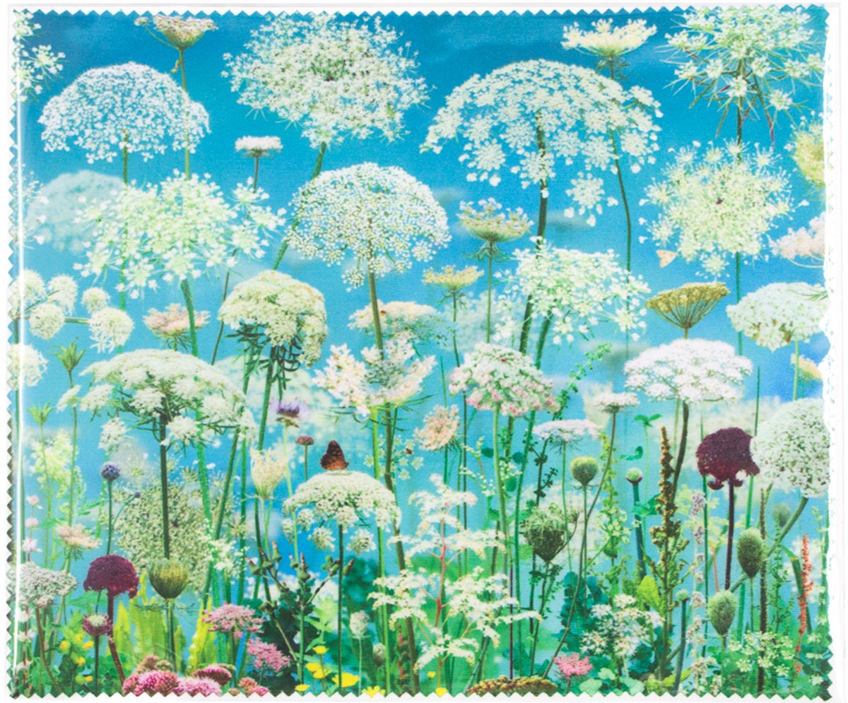 Lanzfeld - Brillendoekje - Microvezeldoekje - 15x18 cm - Ruud van Empel