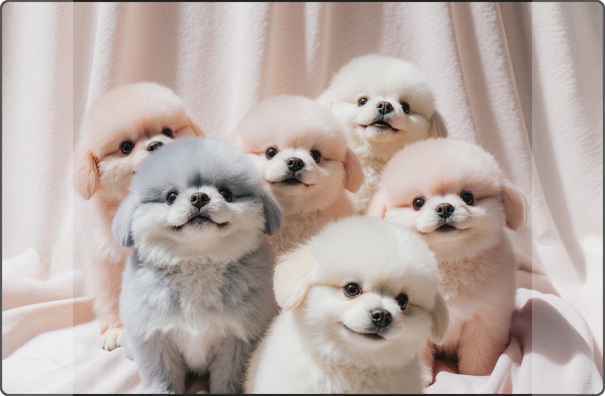 Kangaro Bureauonderlegger - 35x58cm PP Happy Paws - K-0014D203