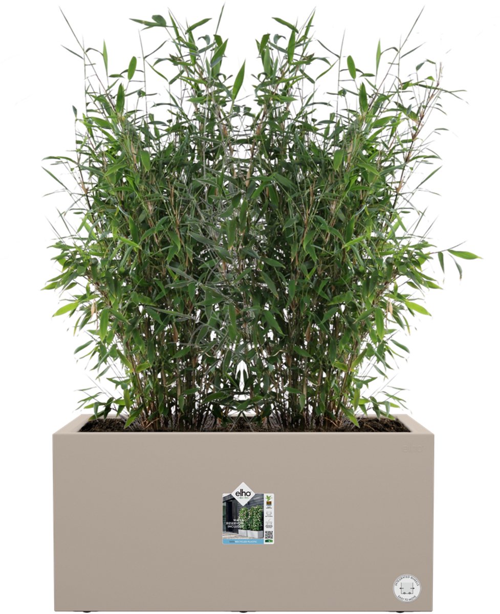 Elho Planter vivo next long d80 h38cm mushroom beige