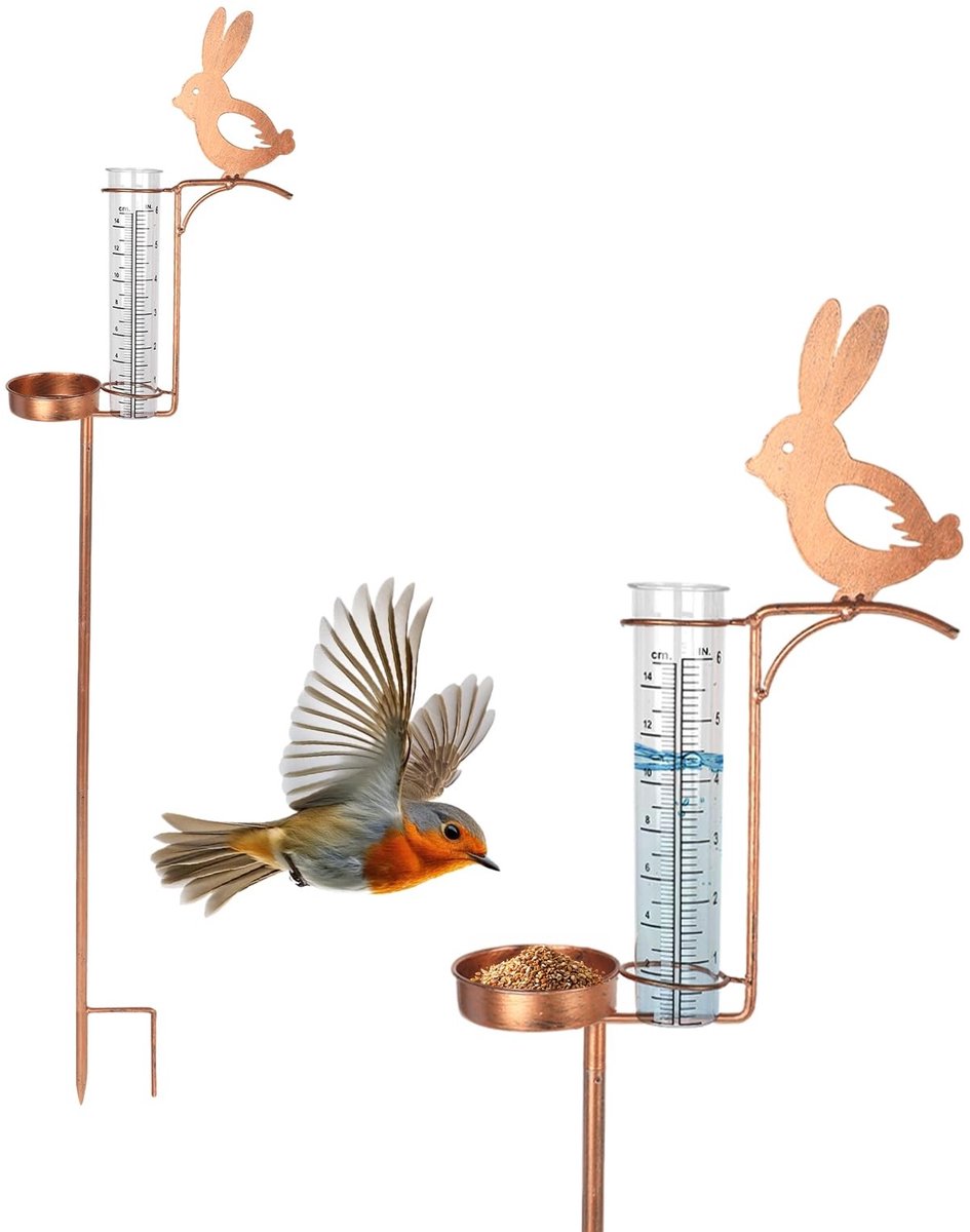 Solidchoice - 2-in-1 Regenmeter met Vogelvoederhuis voor Tuin