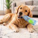 Golden retriever met een blauwe fles en bal in zijn bek, liggend op een vloerkleed.