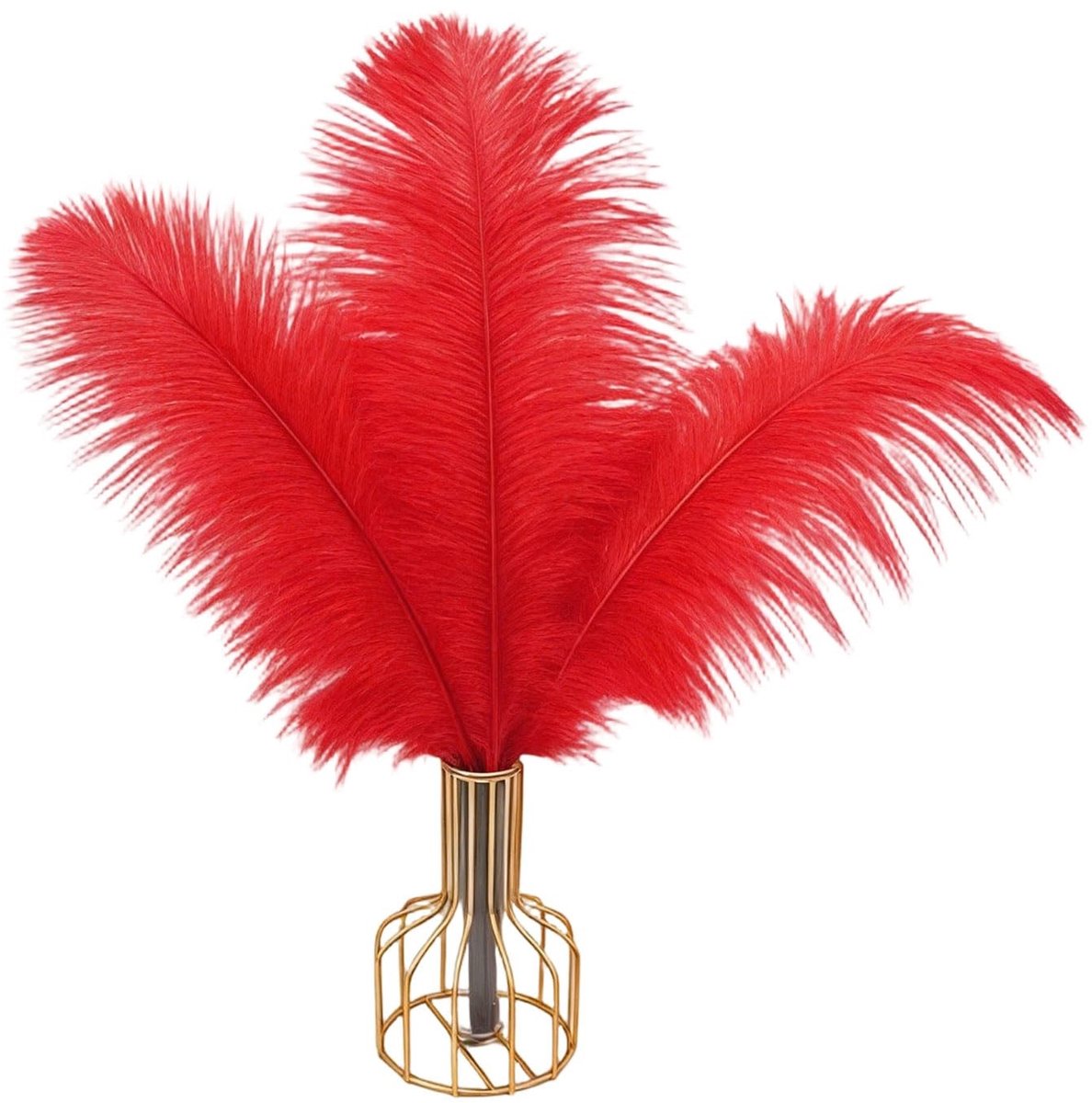 Solidchoice - Set van 20 Natuurlijke Struisvogelveren voor Decoratie
