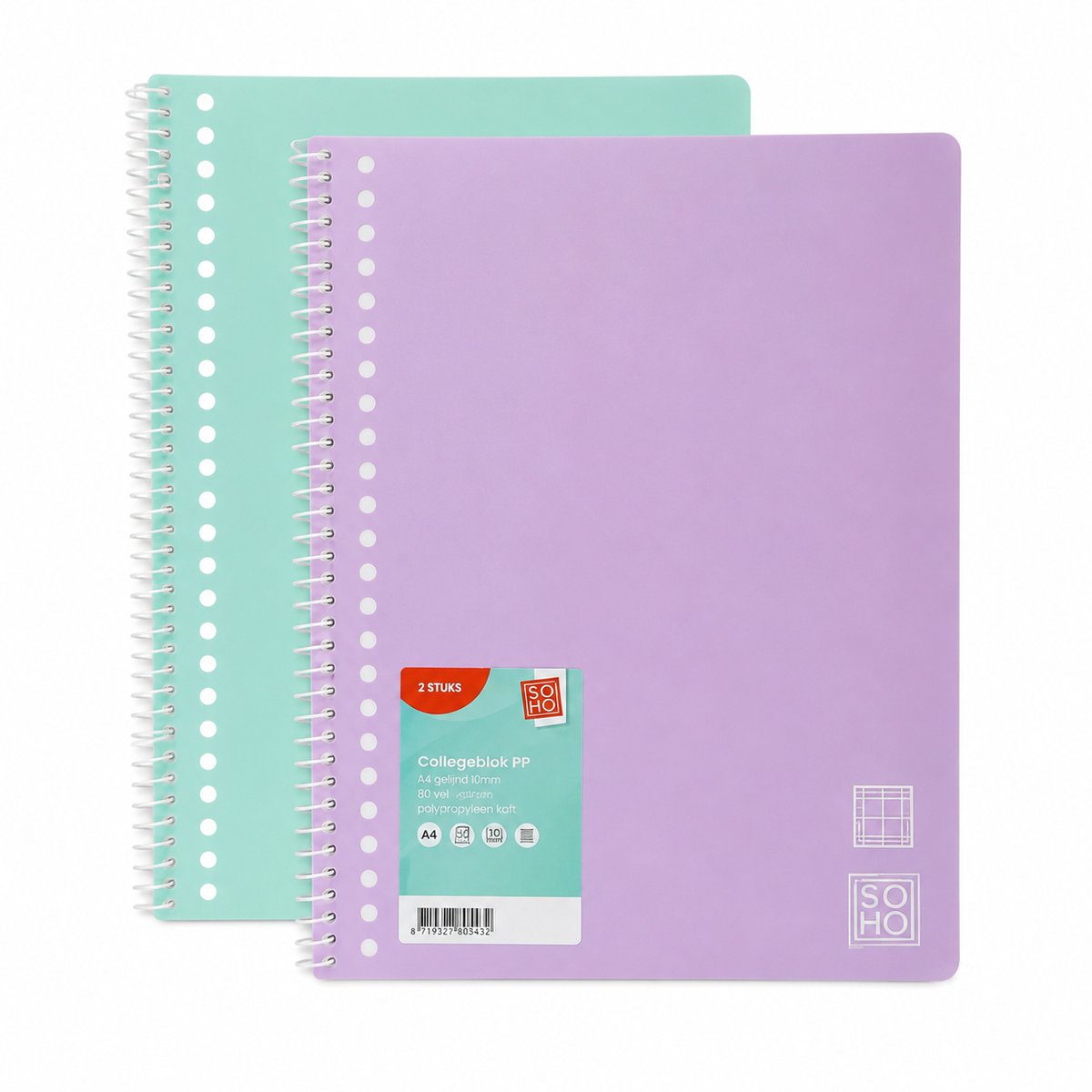Cadebo 2-pak Collegeblok - Ruit 10mm - A4 Formaat - 23 gaats - Kunststof Kaft - SOHO - Mint en Lila