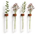 Vier glazen reageerbuisjes met takken, bloemen en bladeren, elk met een bruin leren bandje en zwarte magneet, opgehangen aan een witte muur.