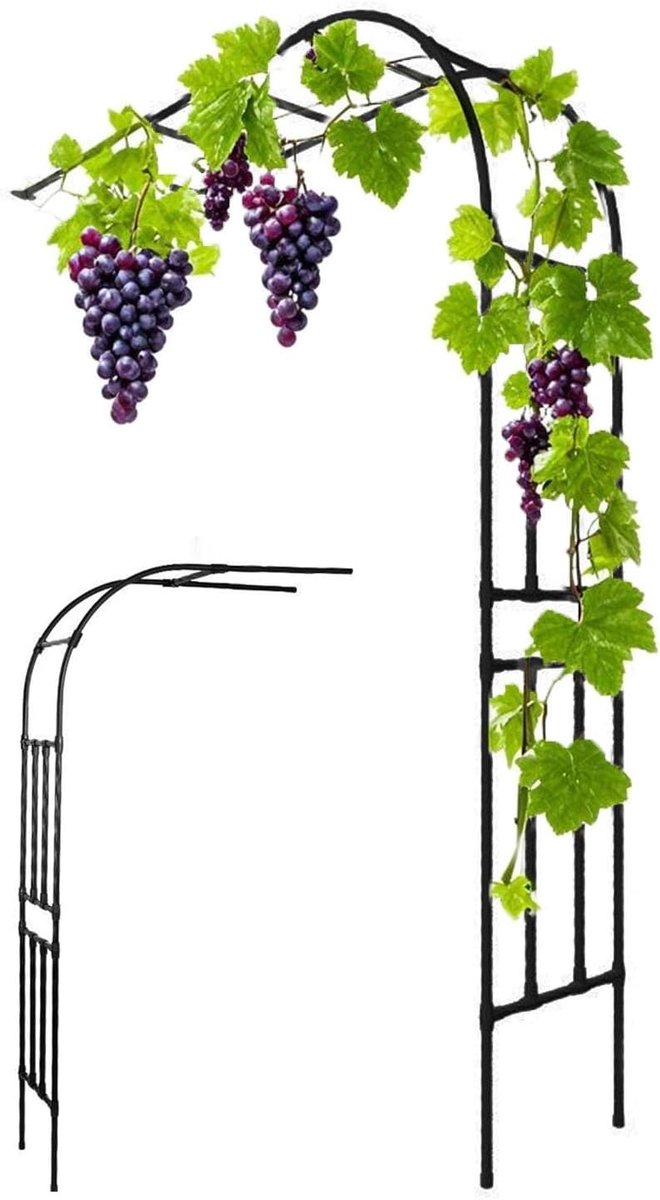 Rozenboog Tuin - Klimhulp Metaal - Planten Ondersteunen - Robuust Weerbestendig - Hoogte 240cm - Zwart Wit