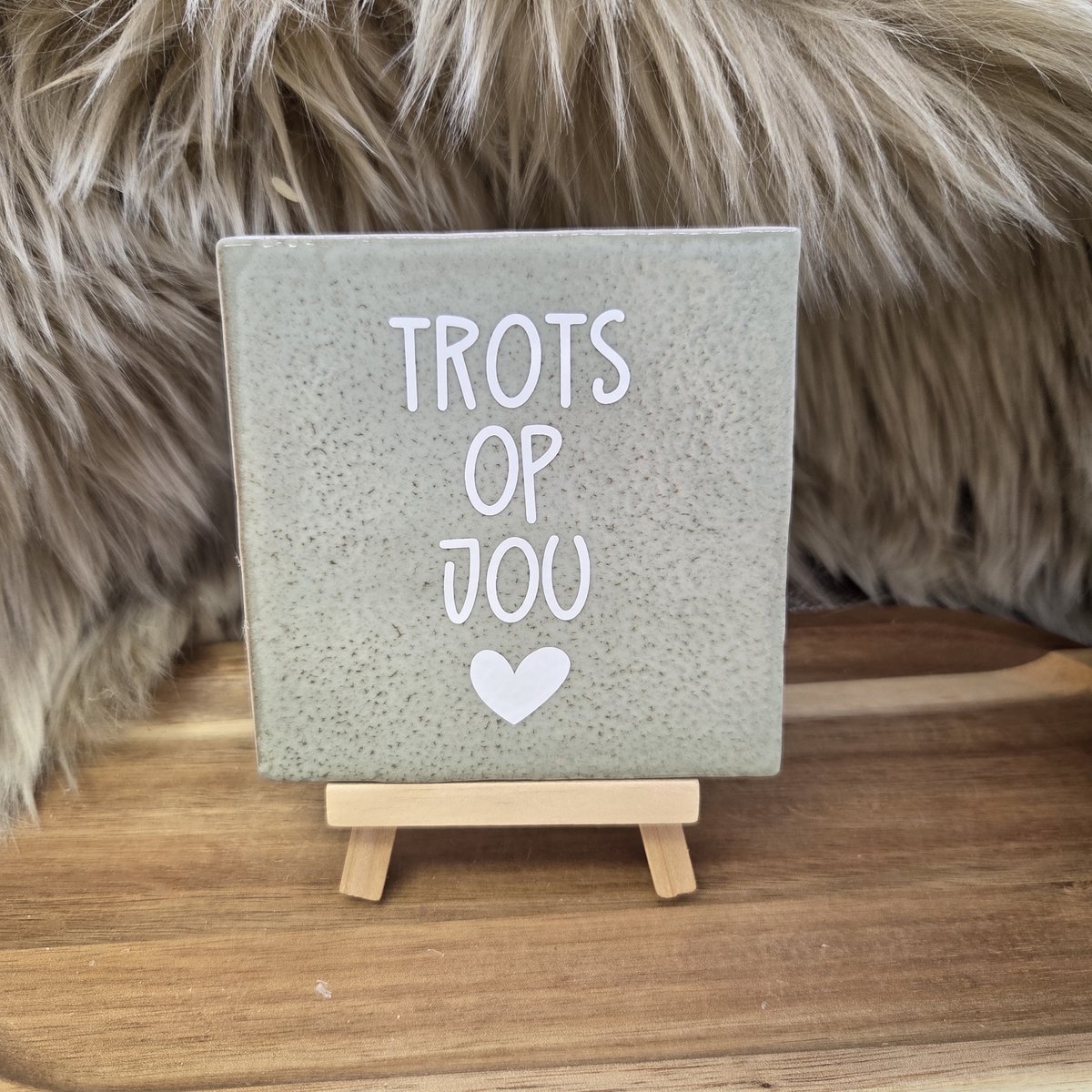 Robuust Wenstegeltje “Trots op Jou” – 10x10cm – Lief Cadeautegeltje met Hartje – Trendy nu – Geslaagd – vriend(in), familie, gezin, zomaar – Decoratief Tegeltje met Standaard – Cadeau Idee