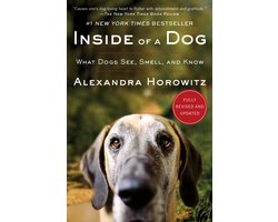 Inside Of A Dog