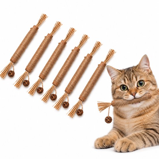 Schattige cyperse kat bijt in zilverboom kauwspeeltje, vijf andere speeltjes op de achtergrond