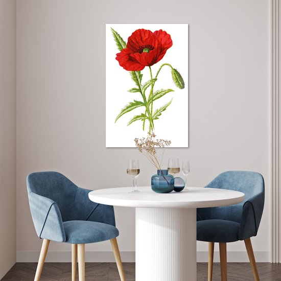 Illustration Vintage d'une affiche fleur rouge papier 40x60 cm - Tirage photo sur Poster (décoration murale salon / chambre) / Poster Fleurs