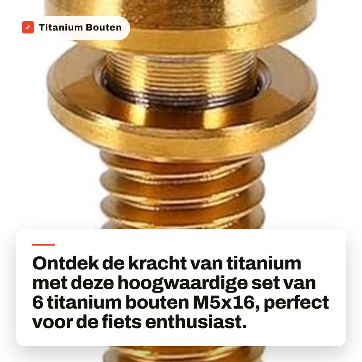 Dailygoods- Titanium Bouten M5x16 - 6 Stuks - Lichtgewicht - Corrosiebestendig - Schokbestendig - Voor Fiets/Motorfiets - Duurzaam Ontwerp - Fietsbouten