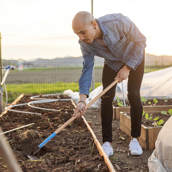 Dailygoods- Tuinhakje Ronde Kop - Tuinschoffel - Tuingereedschap - Onkruidhakken - Vervangingskop - Roestvrij Staal - Duurzaam Ontwerp - Schoffel van Dailygoods — afbeelding 4
