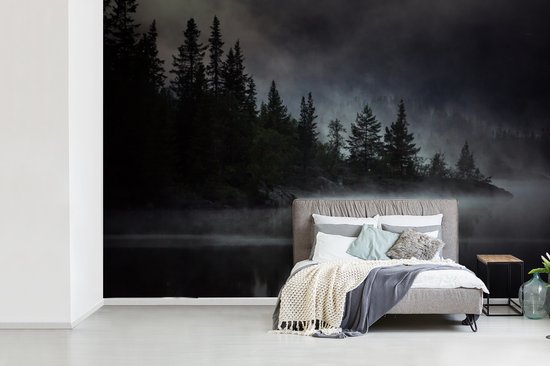 Papier fotobehang Photo Zwart et blanc d'une forêt brumeuse en Norvège