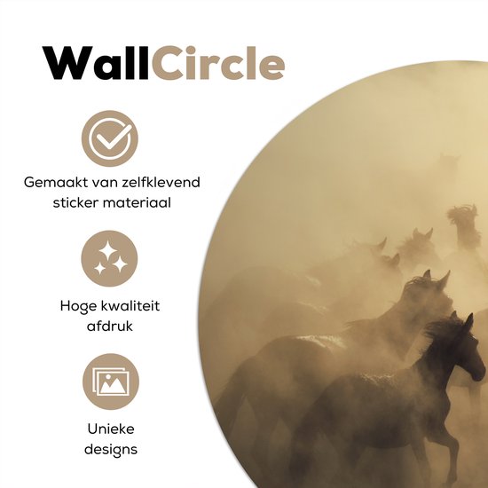 Papier peint Cercle - Paarden - Sable - Groupe - 100x100 cm XXL