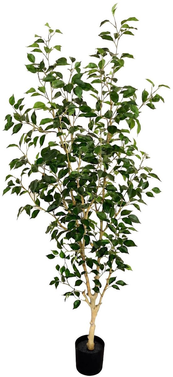 PrettyPlants Ficus Kunstplant 180cm | Grote kunstplant voor binnen | Kunst Ficus 180cm | Nep Ficus | Kunstboom 180cm Deluxe Groen