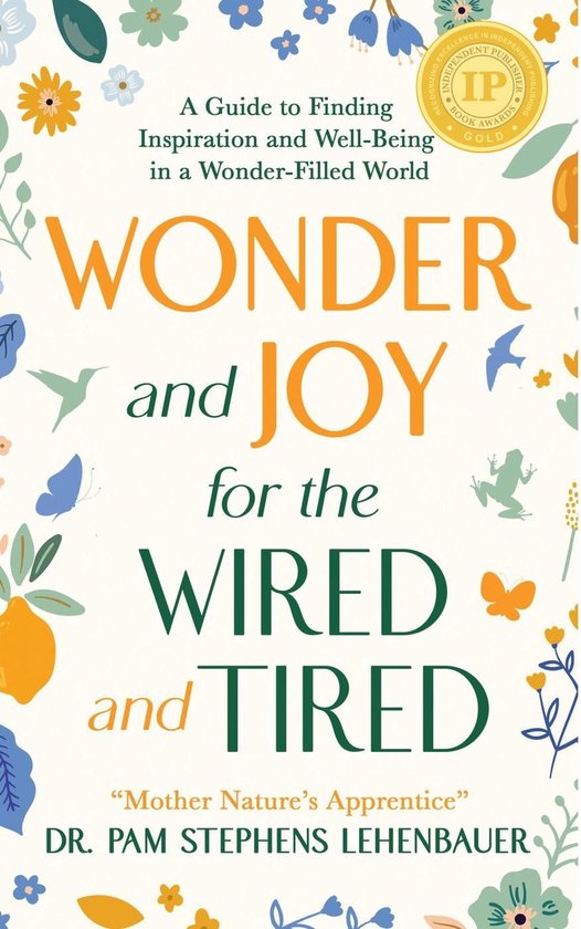 Wonder and Joy for the Wired and Tired - cover