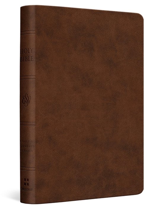 Bruine bijbel met de tekst "HOLY BIBLE" en "ENGLISH STANDARD VERSION" op de rug.