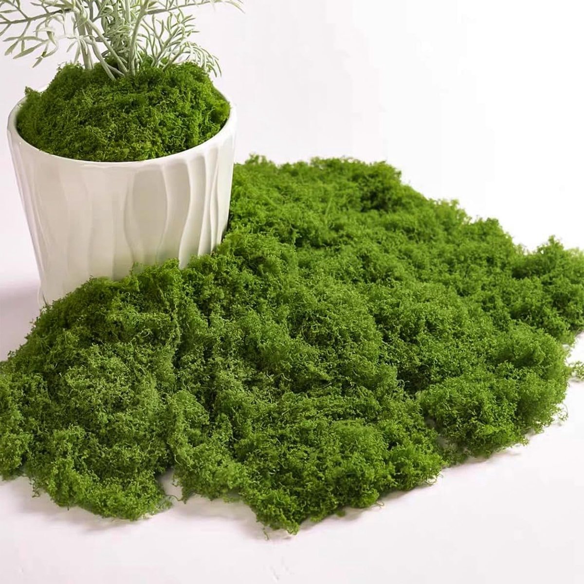 Dailygoods- Kunstmos 50 g - Decoratie Mos - Kunstgras - Synthetische Vezel - Herbruikbaar - Zacht en Realistisch - Decoratiemateriaal