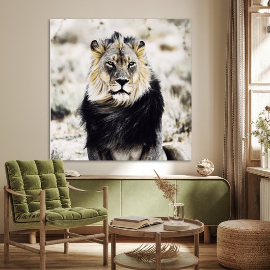 Affiche Animaux sauvages - Lion - Zwart - 100x100 cm XXL