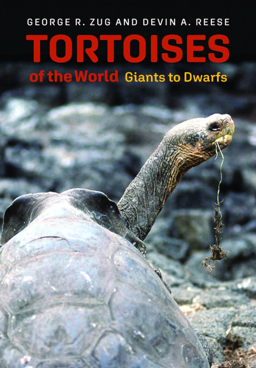 Tortoises Of The World