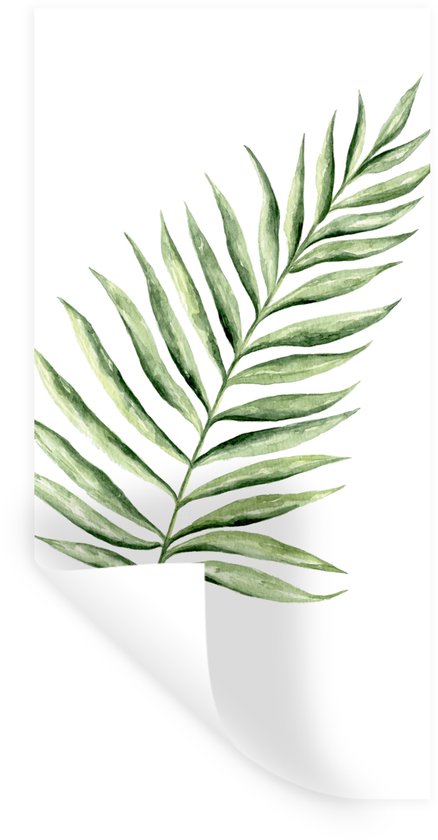 Een aquarel schilderij van een groene palmblad op een witte achtergrond.