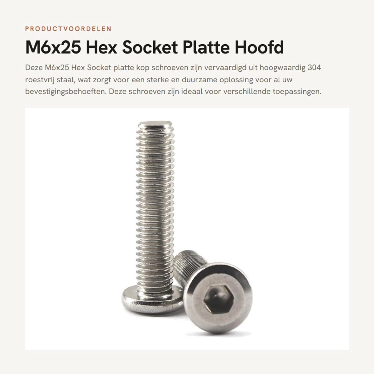 Dailygoods- Schroef M6x25 - Platte Kop - Zeskantschroef - 304 Roestvrij Staal - Pack van 20 - Slijtvast en Corrosiebestendig - Bout