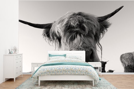 Wit Behang Behang - Fotobehang Schotse Hooglander - Zwart - Wit - Dieren - Breedte ...