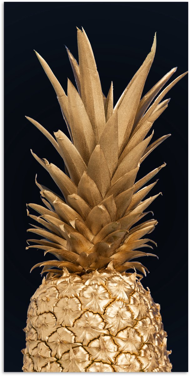 Poster 20x40 cm - Ananas - Goud - Verf - Zwart - Fruit - Luxe - Posters - Kamer decoratie 