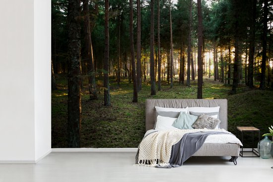 Papier Peint - Papiers Papier peint photo Arbre - Soleil - Herbe - Largeur 330 cm x Hauteur 220 cm