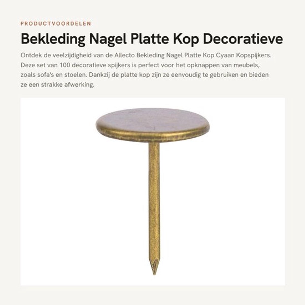 Kopspijkers Cyaan - Platte Kop - Decoratieve Nagels - 100 Stuks - 14 x 20 mm - Duurzaam en Gemakkelijk te Gebruiken - Decoratieve Spijkers