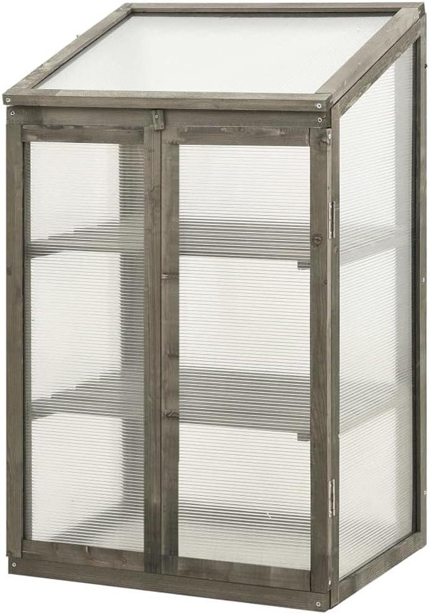 Houten Broeikas - Plantenkas Dennenhout - Planten Beschermen - Met Twee Planken - 60 x 45 x 100 cm - Grijs