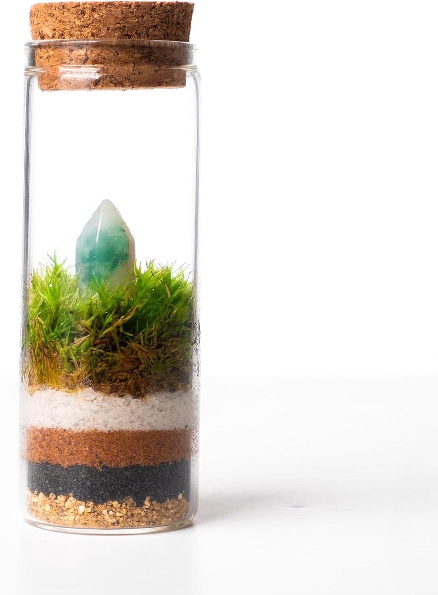 Glazen Terrarium Planten - Mini Broeikas - Natuur Creëren - Gesloten Ecosysteem - 1 Unit - Natuurlijk